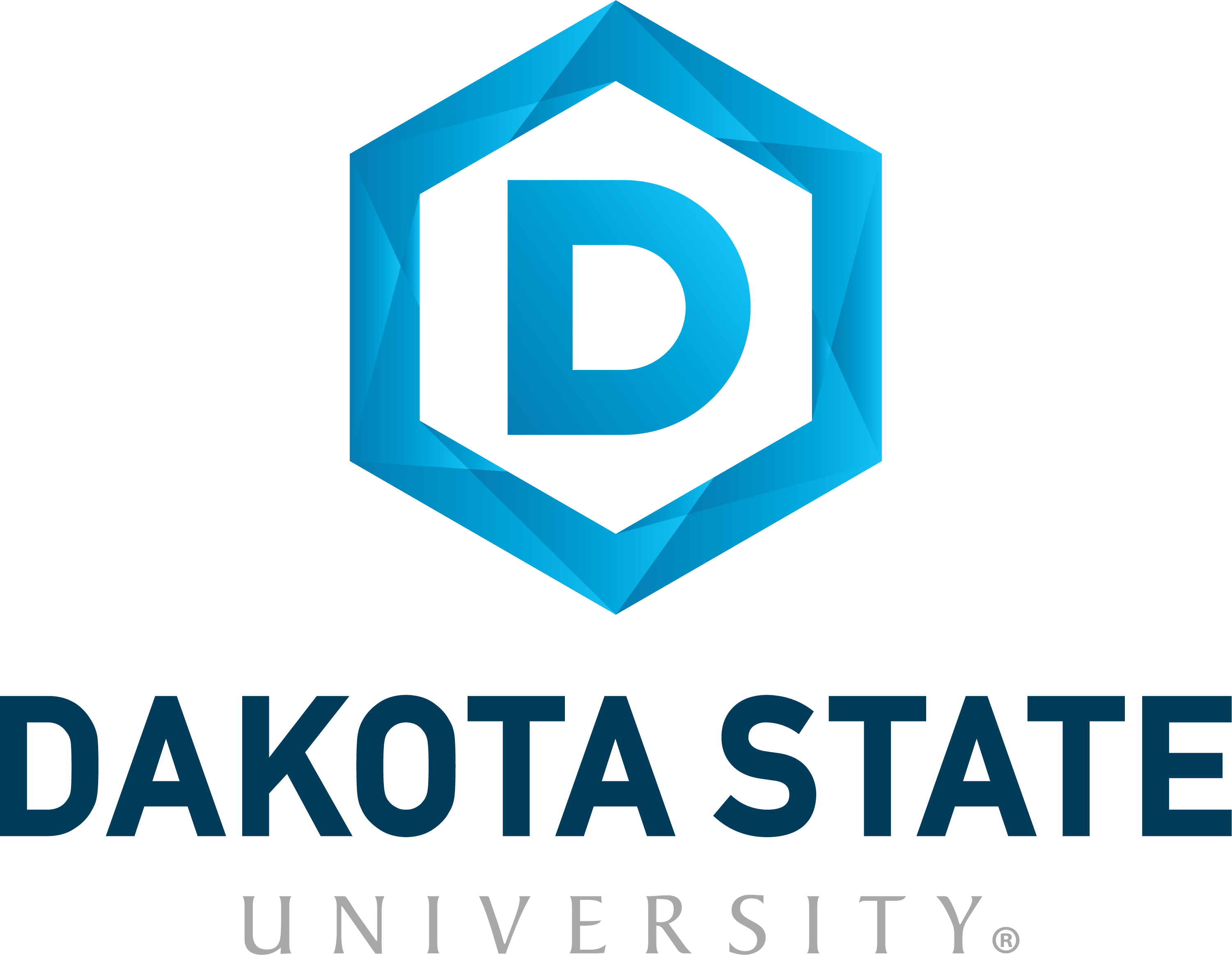 Dakota State University Logo